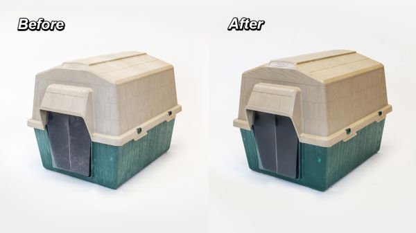 wipe-new-recolor-before-after-pets